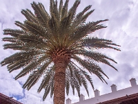 Las Palmas de Gran Canaria